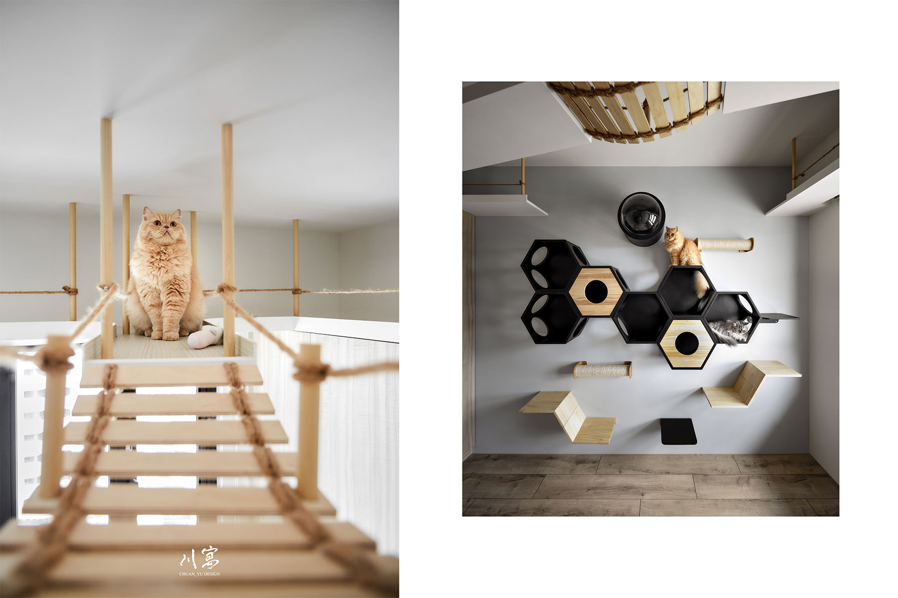 寵物活動區細節，黑色與淺木色六角造型地磚拼接，提供貓咪跳躍穿梭的遊戲空間